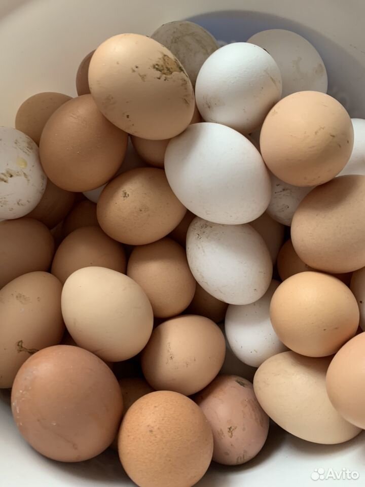 Где Купить Яйца Подешевле