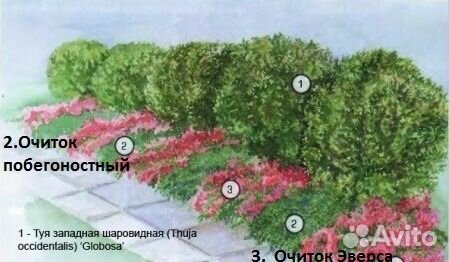 Платья с черно-белым принтом с чем носить Платья с черно-белым принтом с чем носить