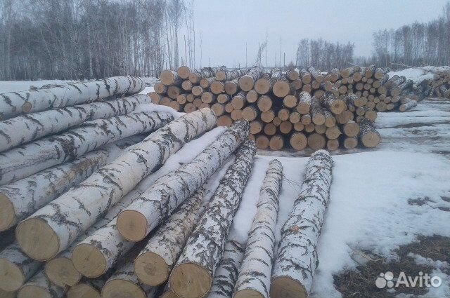 Где Купить Лесовоз Дров В Калужской Области