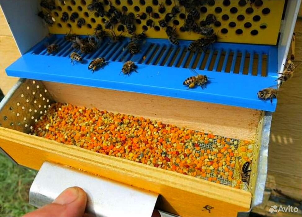 Как правильно принимать пчелиную пыльцу
