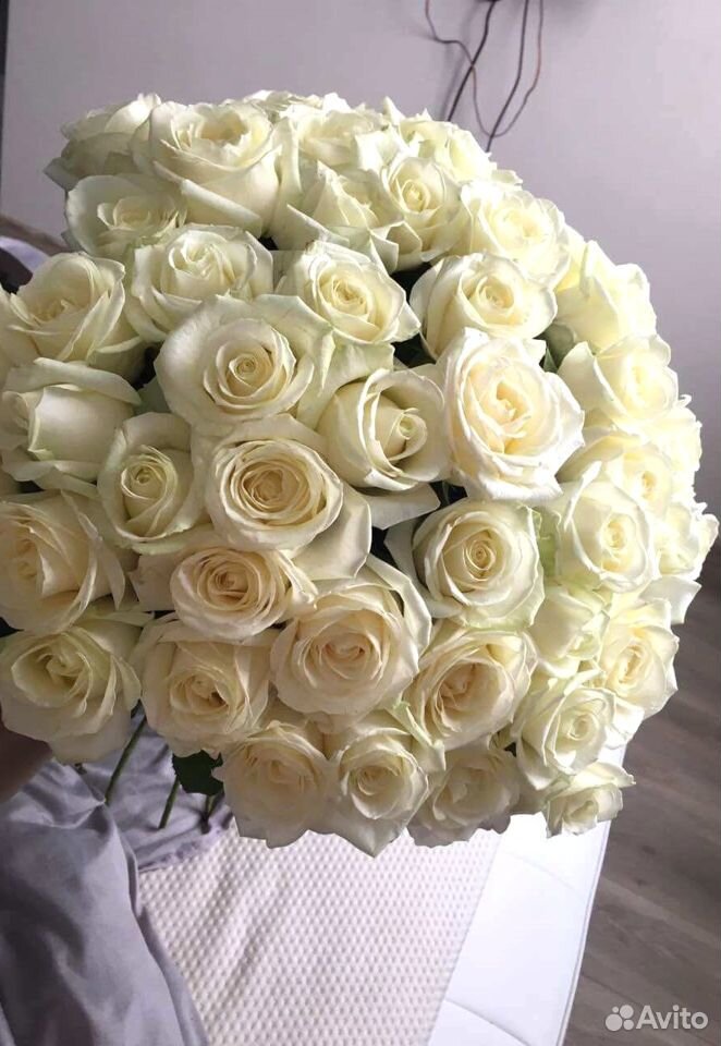 39 белых роз с доставкой за час + 2 подарка купить на Зозу.ру - фотография № 1