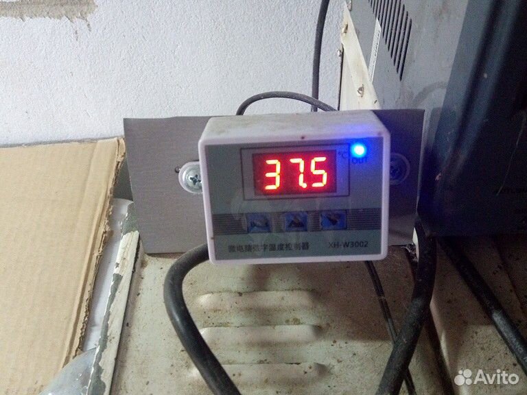Терморегулятор w3002 купить на Зозу.ру - фотография № 3
