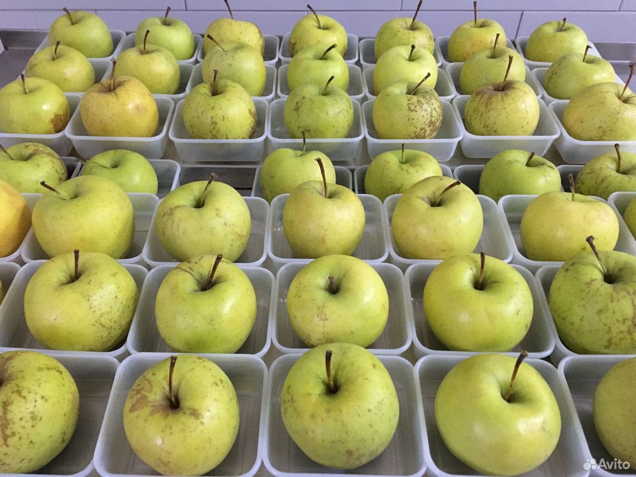 Мытые яблоки в индивидуальной упаковке купить на Зозу.ру - фотография № 4