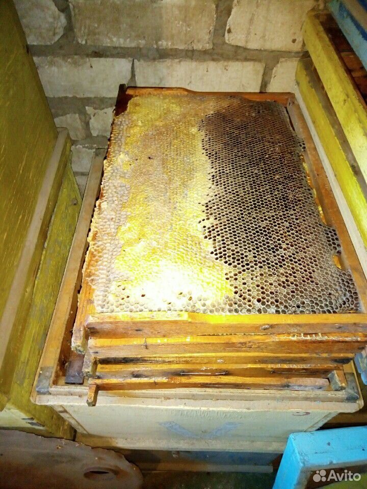 Рамки с мёдом купить на Зозу.ру - фотография № 2