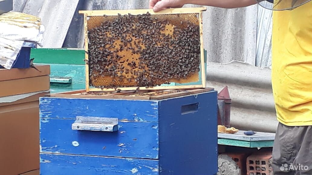 Пчело покеты купить на Зозу.ру - фотография № 2