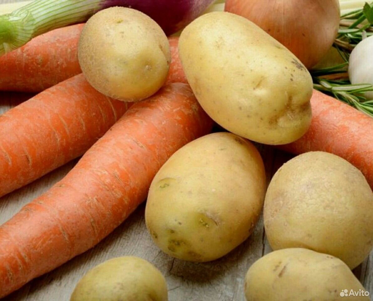 ДоставкаКартофеля моркови для скота купить на Зозу.ру - фотография № 1