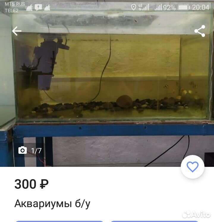 Продаются б/у аквариумы.большой выбор рыбок и разн купить на Зозу.ру - фотография № 1