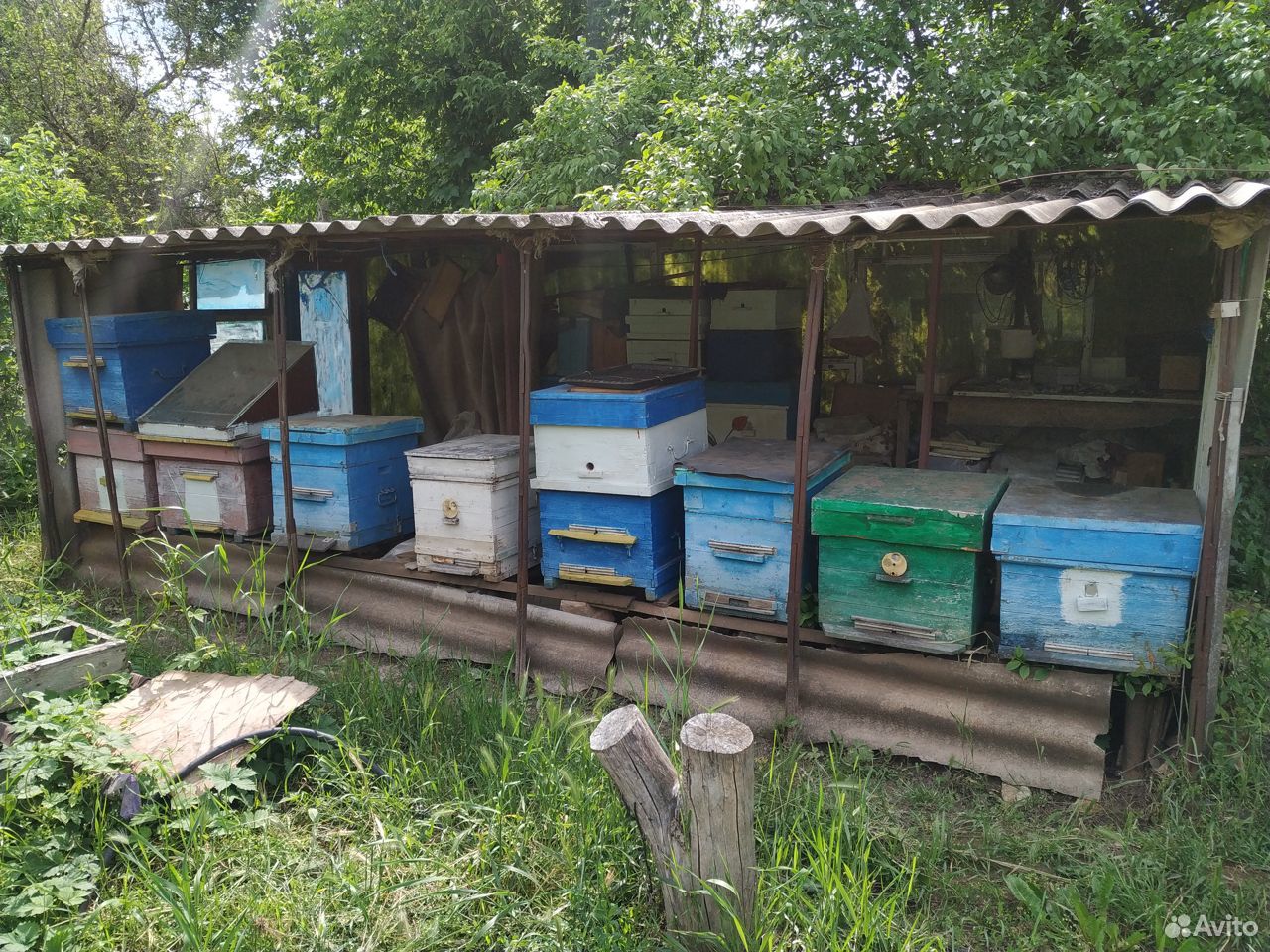 Улики для пчел и медогонка 4х рамочная купить на Зозу.ру - фотография № 1