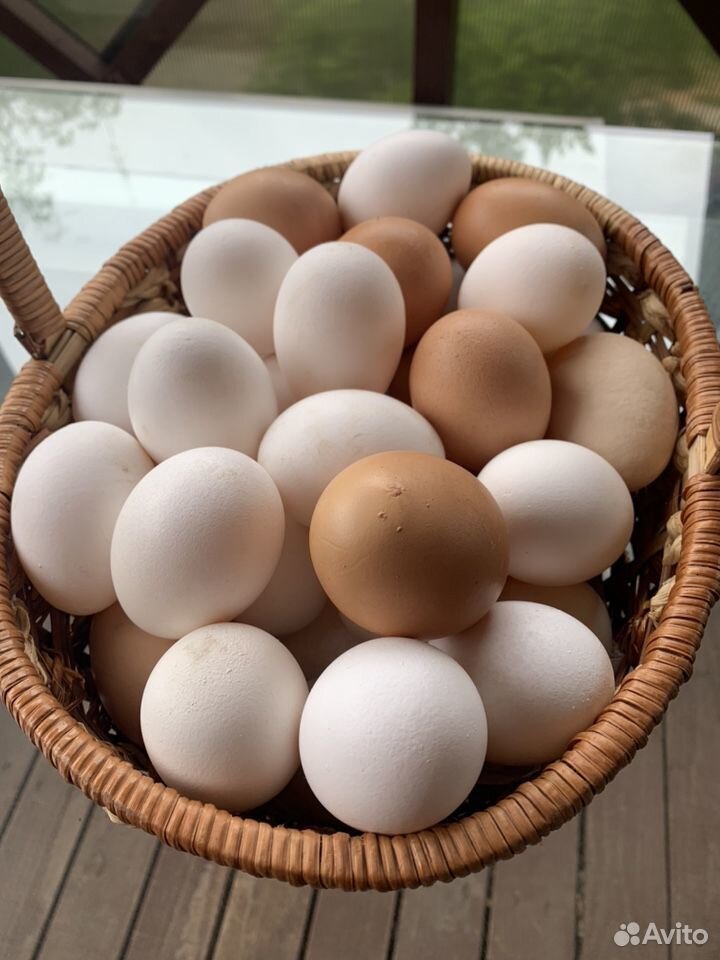 Домашние яйца купить на Зозу.ру - фотография № 4