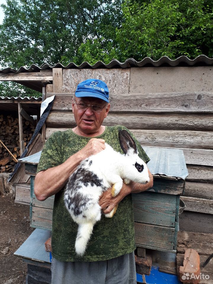 Продажа кроликов купить на Зозу.ру - фотография № 3