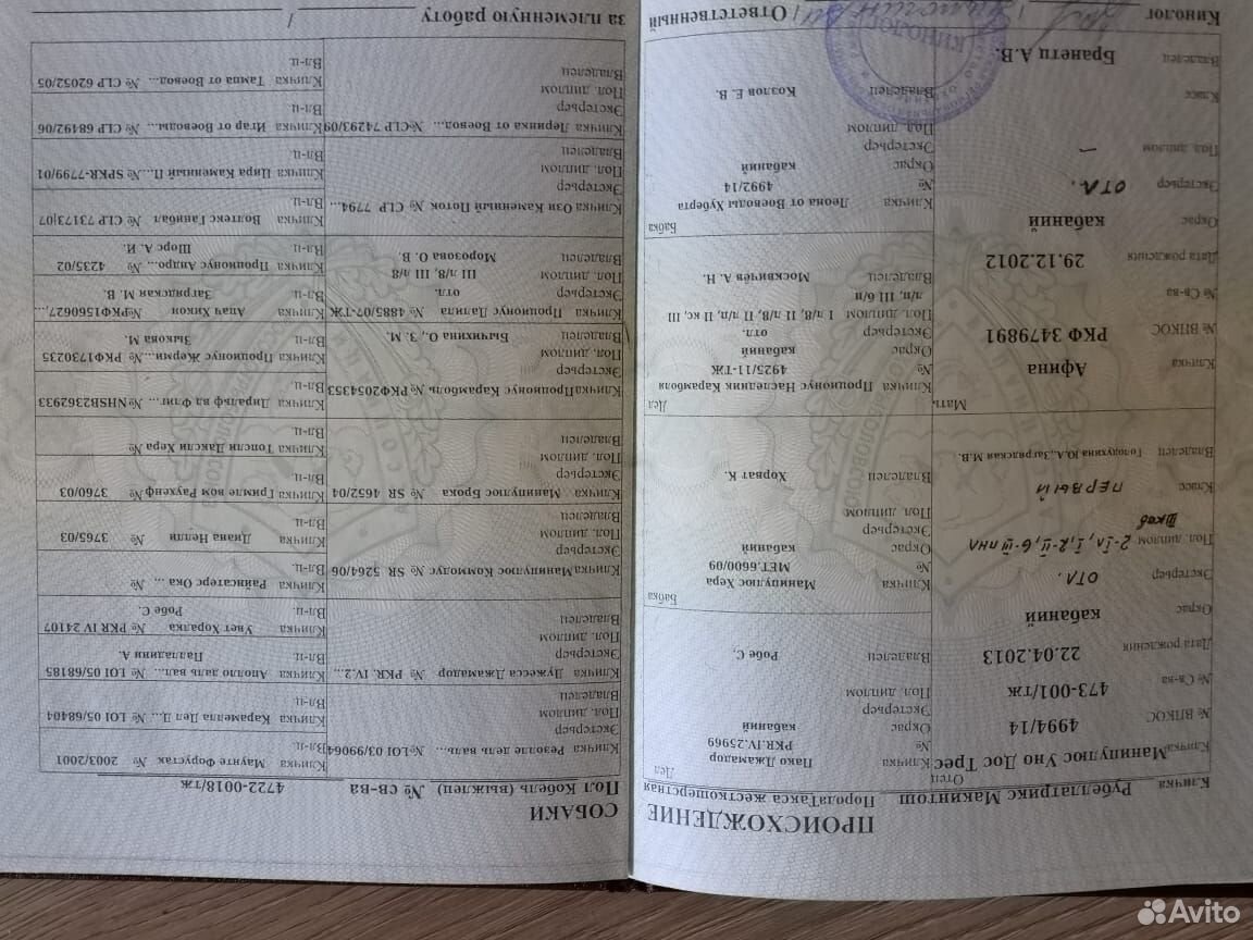 Щенки жесткошерстной таксы с документами купить на Зозу.ру - фотография № 7