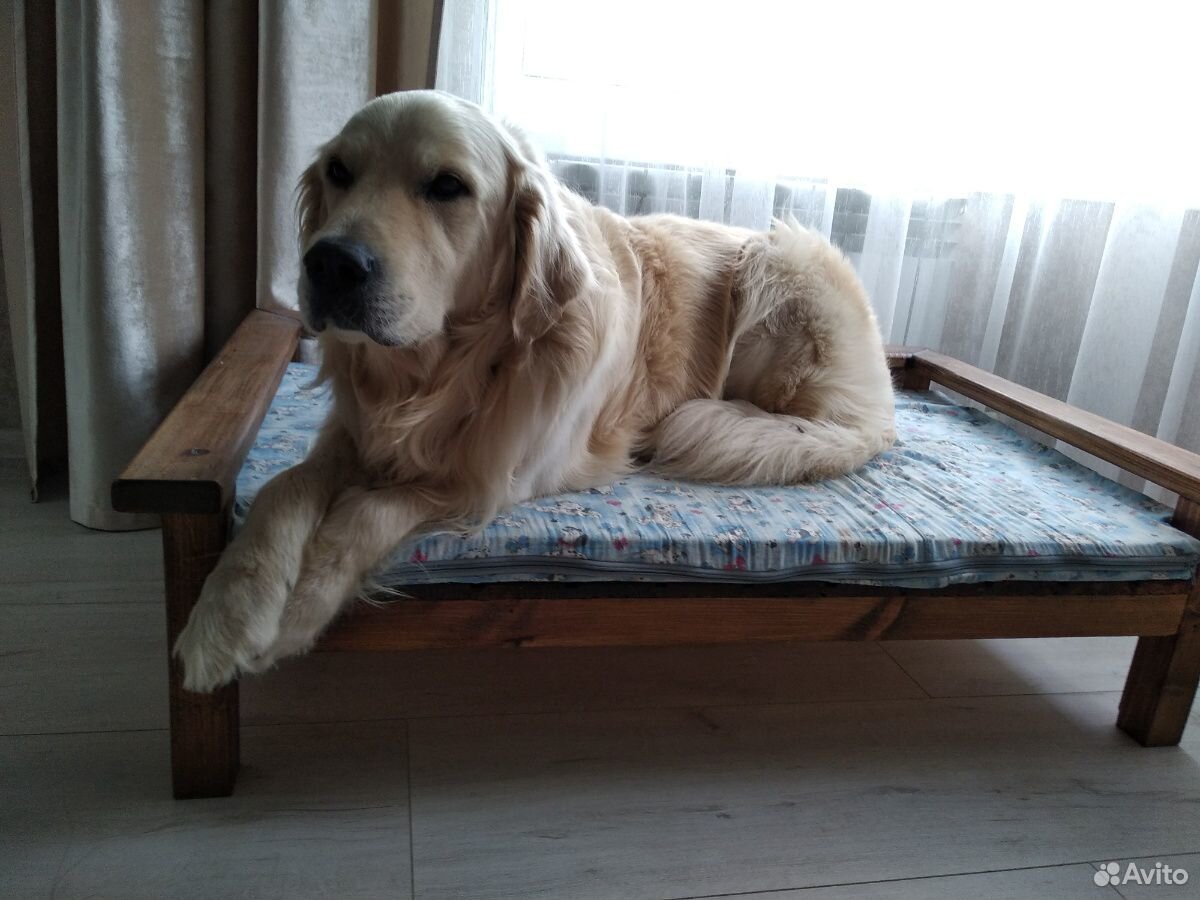 Лежак для большой собаки купить на Зозу.ру - фотография № 1