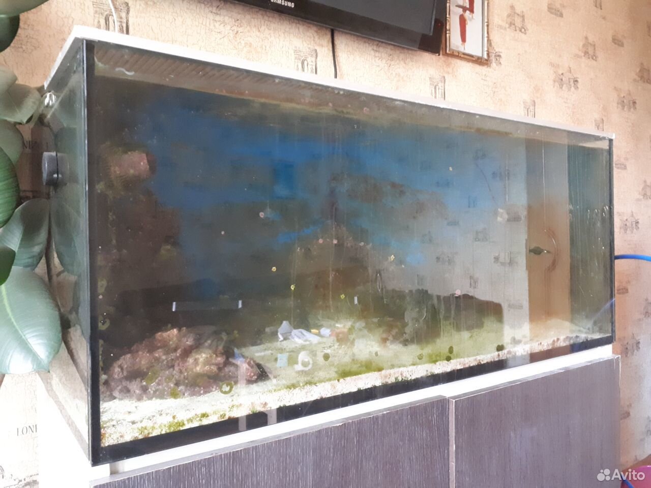 Морской аквариум Elos-120 купить на Зозу.ру - фотография № 1