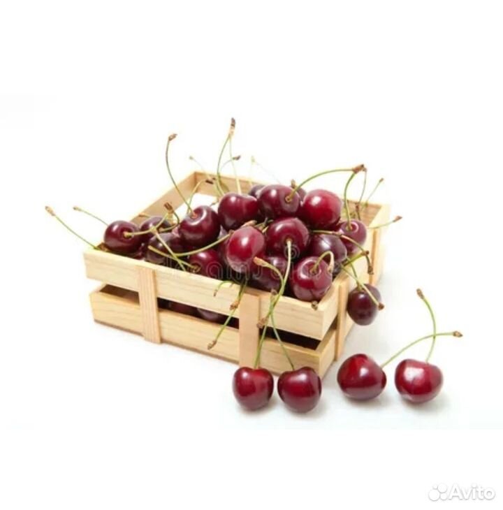 Продам вишня, малина (свежие) купить на Зозу.ру - фотография № 1