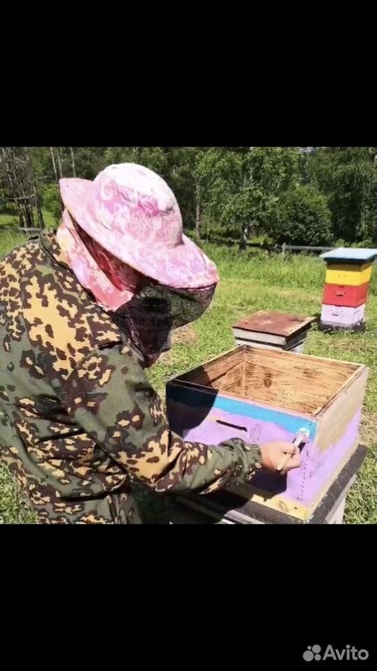 Продам таежный мёд купить на Зозу.ру - фотография № 1