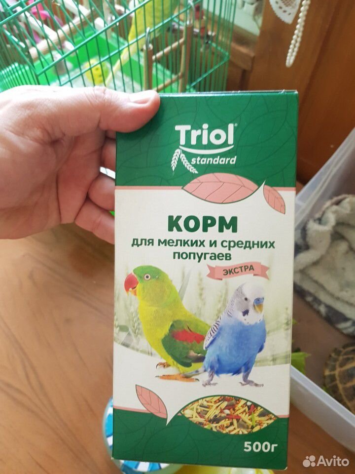 Волнистые попугаи с клеткой купить на Зозу.ру - фотография № 8