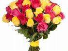 Цветы, розы, хризантемы, герберы объявление продам