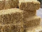 Тюки пшеничной соломы объявление продам