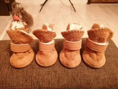 Обувь для собаки мелкой породы