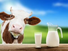 Коровье и козье молоко