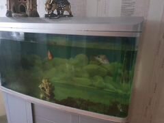 Продам аквариум в хорошем состоянии