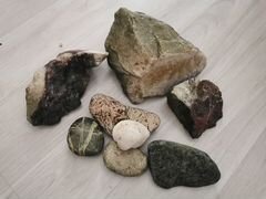 Коряги, камни, растения