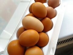 Домашние куриные и перепелиные яйца