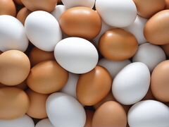 Домашняя куриные яйцо