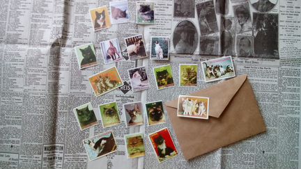Почтовые марки с кошками