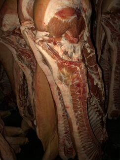 Мясо свинина полутуши оптом