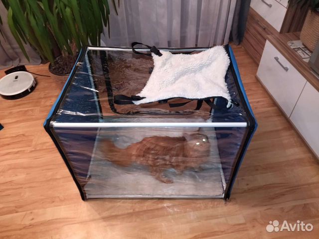 Выставочная палатка, вольер Ладиоли