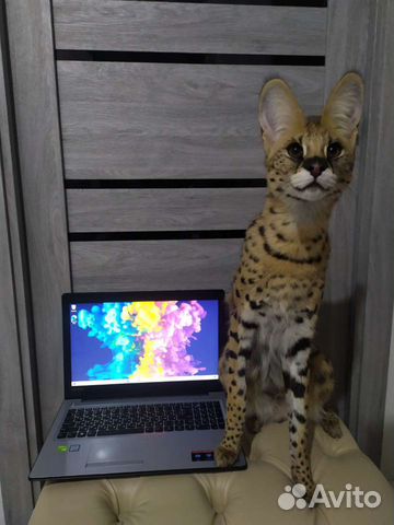 Игровой sdd 120+1000гб Видеокарта 940mx 2гб