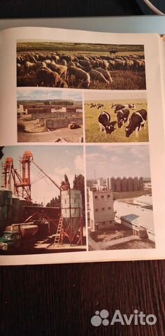 Книга фотоальбом Сельское хозяйство СССР 1982 г