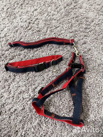Шлейка, ошейник, поводок для собак