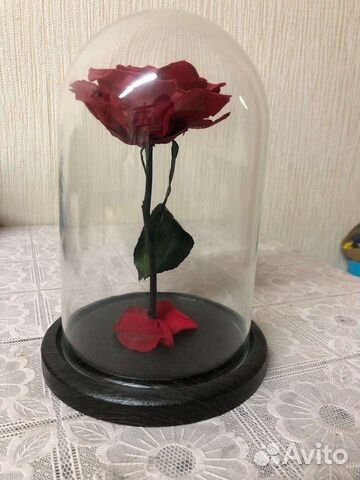 Вечная роза в колбе