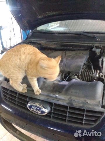 Автосервис в Строгино Автосервис в Строгино