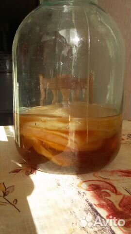 Чайный гриб Чайный гриб