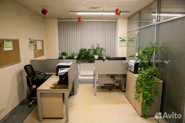 Помещение свободного назначения, 290 м²
