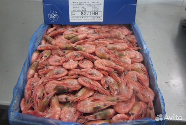 Размер креветок. Креветки 80/100 и 90/120. Креветки 80/100 Greenland Prawns. Северная углохвостая креветка 70/90.