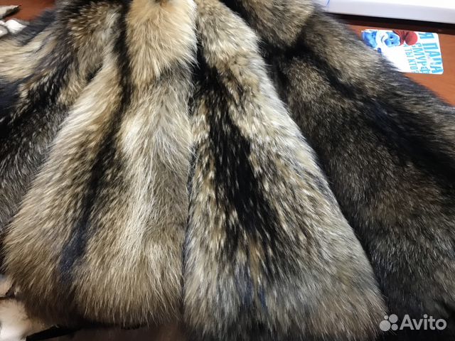 Шкуры енота