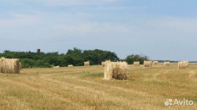 Сено, Солома в рулонах