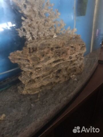 Все для аквариума Все для аквариума