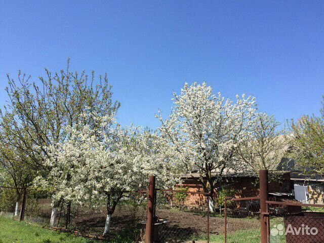 Дом 100 м² на участке 46 сот.