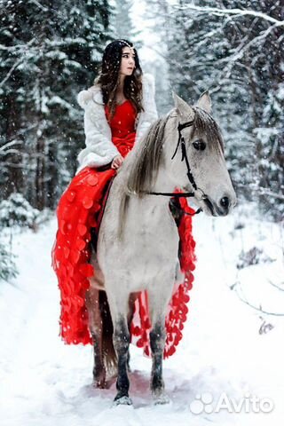 Аренда лошади купить на Зозу.ру - фотография № 2