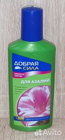 Удобрения для азалий Удобрения для азалий