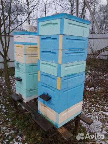 Улей с пчелами купить на Зозу.ру - фотография № 1