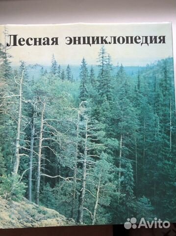 Лесная энциклопедия Лесная энциклопедия