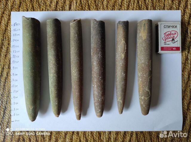 Белемниты коллекционные