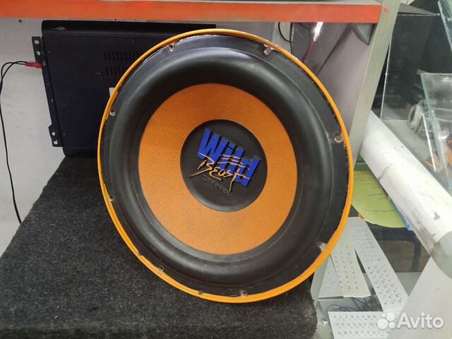 cadence wild beast 12