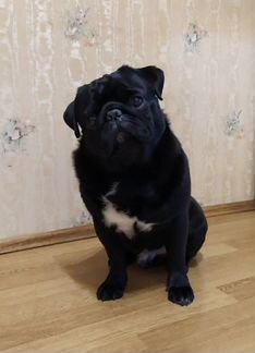 Наш мальчик ищет невесту